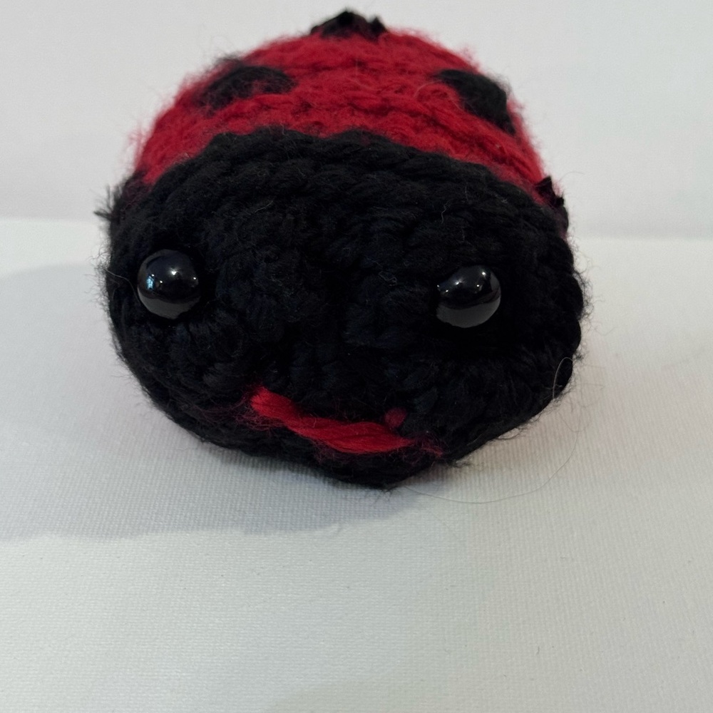 Black and Red Plush Ladybug Crochet